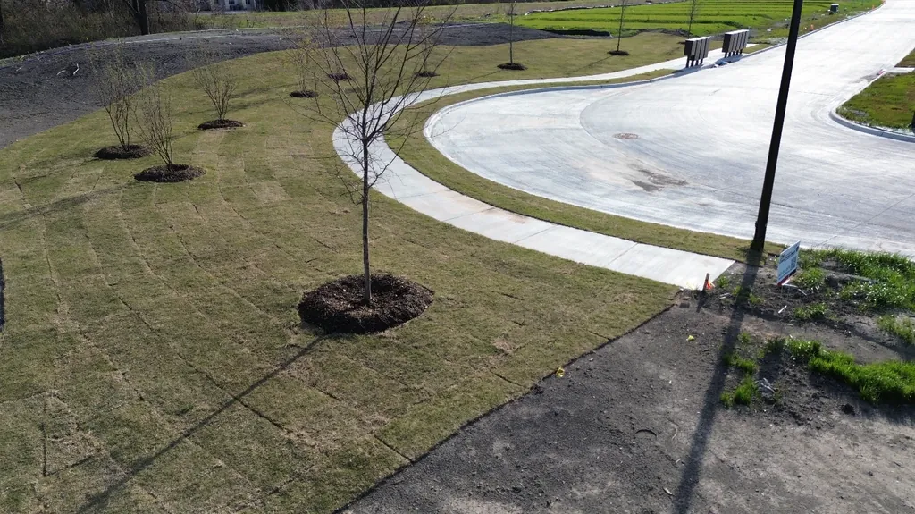 Curving trail with new landscaping